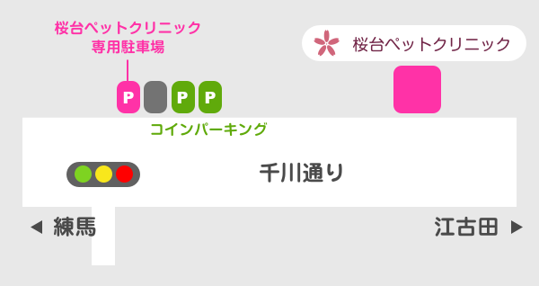 交通アクセス 練馬区桜台の動物病院 桜台ペットクリニック