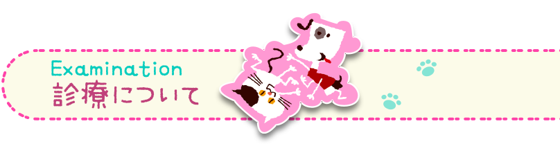 診療について