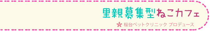 ねこカフェ